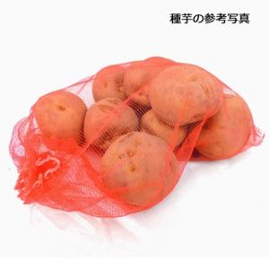 ジャガイモ 男爵薯だんしゃくいもの種芋 2kgの詳細画像1