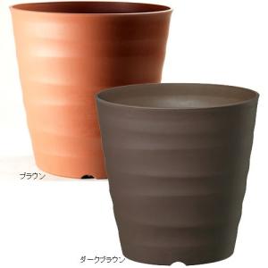 八角鉢 5寸 検/八角 プラ 鉢 アガベ鉢 台湾鉢 チタノタ titanota