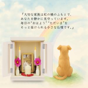 ペット仏壇 仏壇 メモリアルボックス S M ...の詳細画像2