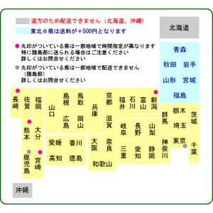 シンビジューム3本立の詳細画像4