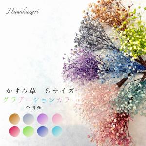 髪飾り かすみ草 グラデーションカラー Ｓサイズ