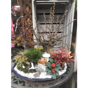 若松 松 門松 切り枝 送料値引きあり : フラワーハウス・シモン - 通販