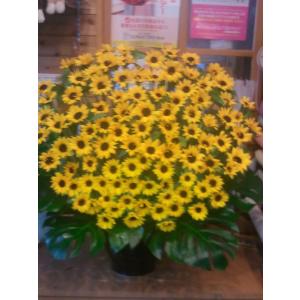 ひまわりの花束誕生日歳の数だけヒマワリをご希望...の詳細画像4