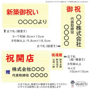 観葉植物 おしゃれ 人気 種類 開店祝い 新築...の詳細画像4