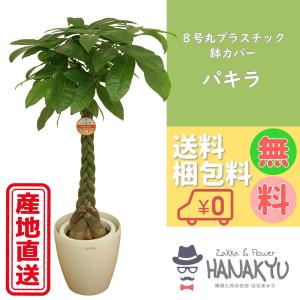 門松 LLサイズ 高さ約1.8m 1対（2台で1セット） 門松 送料無料