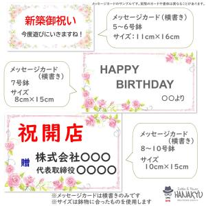 観葉植物 おしゃれ 人気 サンスベリア プレゼ...の詳細画像4