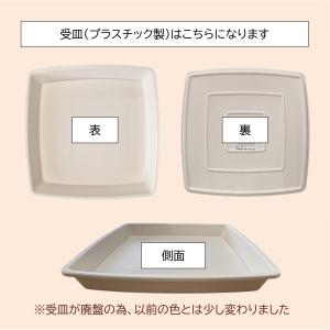 10号角高陶器鉢(白) A-026 【用土別売...の詳細画像3