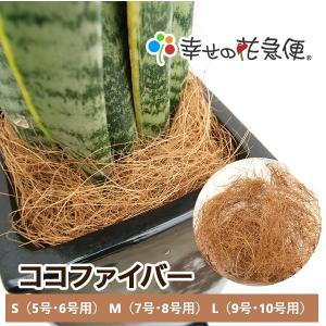 10号角高陶器鉢(白) A-026 【用土別売...の詳細画像5