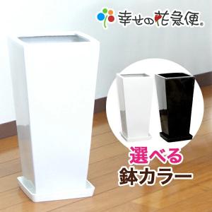 7号角高陶器鉢(白・黒) A-029【用土別売】送料無料 観葉植物 植木鉢 植え替え｜hanakyubin