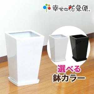 7号角陶器鉢(白黒) A-012-7【用土別売】送料無料 観葉植物 植木鉢 植え替え