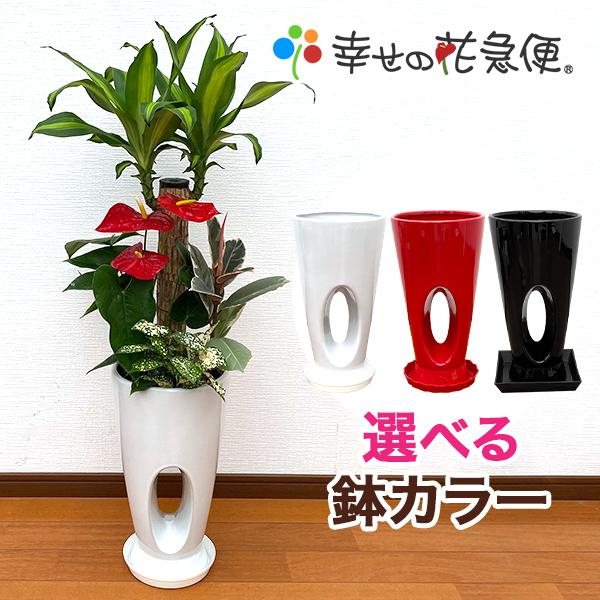 観葉植物 寄せ植え-7号穴高陶器鉢 人気 開店祝い インテリア ランキング