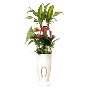 観葉植物 寄せ植え-7号穴高陶器鉢 人気 開店...の詳細画像3