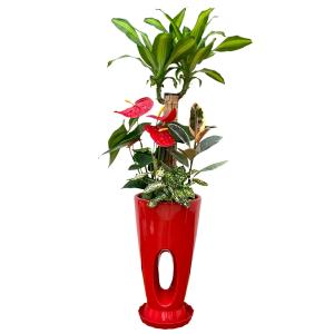 観葉植物 寄せ植え-7号穴高陶器鉢 人気 開店...の詳細画像4
