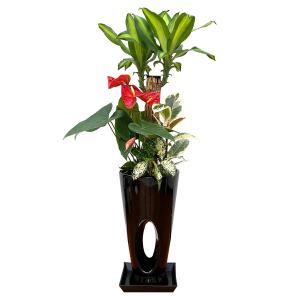 観葉植物 寄せ植え-7号穴高陶器鉢 人気 開店...の詳細画像5