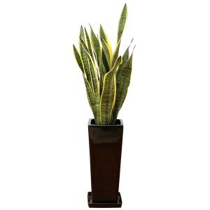 観葉植物 サンスベリア 7号陶器スリム-角鉢(...の詳細画像5