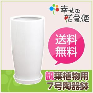 7号丸陶器ロング鉢(白) A-031【用土別売】送料無料 観葉植物 植木鉢 植え替え