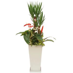 観葉植物 寄せ植え-10号角高陶器鉢(紅白アン...の詳細画像4