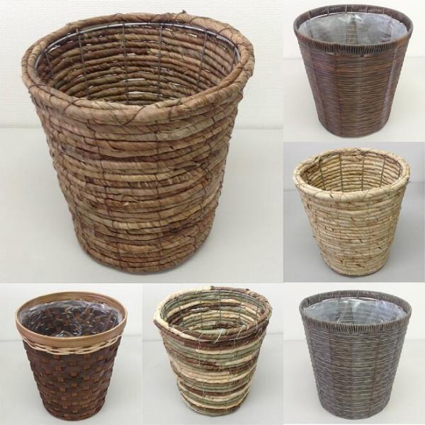 選べる鉢カバー植え替えセット　7号サイズ(観葉植物/送料無料/新築/開店/引越祝い/インテリア/人気...