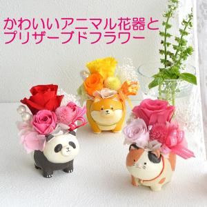 即出荷 ハチワレ ねこ 母の日 プレゼント ギフト ブーケ 花束