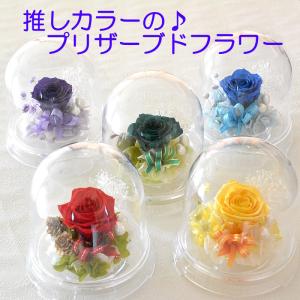 レインボーローズ 1輪 プリザーブドフラワー 単品 ローズ 花材 ハー
