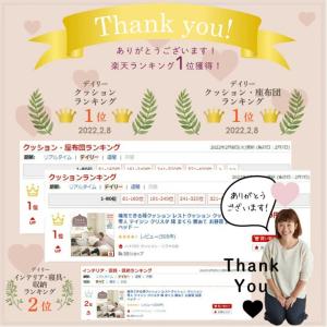 【ハナロロ公式】補充できるレストクッションの詳細画像2