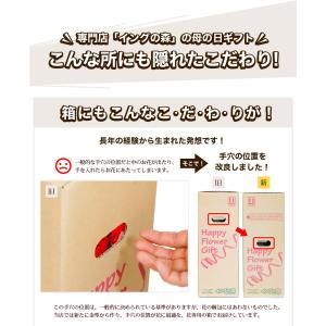 超早割! 母の日 12種類から選べるカーネーシ...の詳細画像3