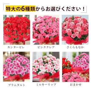 遅れてごめんね 母の日 2026 カーネーショ...の詳細画像1