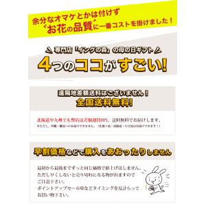 母の日 2026 カスミソウ マーガレット ラ...の詳細画像1