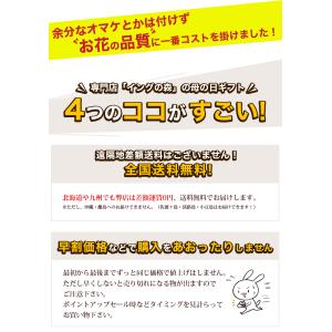 母の日 2026 ギフト 鉢植え 花 プレゼン...の詳細画像2