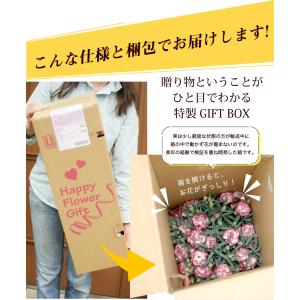 母の日 2026 ギフト 鉢植え 花 プレゼン...の詳細画像4