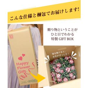 母の日 2026 あじさい プレゼント ギフト...の詳細画像3