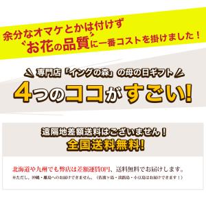 遅れてごめんね 母の日 2026 ギフト プレ...の詳細画像1
