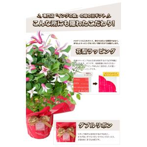 遅れてごめんね 母の日 2026 ギフト プレ...の詳細画像4