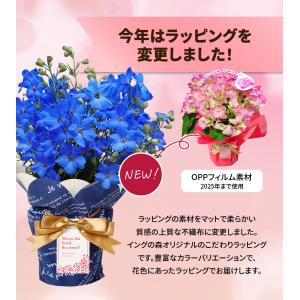 母の日 2026 ギフト 鉢植え 花 プレゼン...の詳細画像4