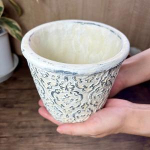 八角鉢 5寸 検/八角 プラ 鉢 アガベ鉢 台湾鉢 チタノタ titanota