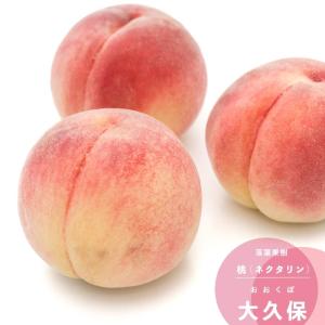 桃 苗木 【矮性桃 ボナンザピーチ】 接ぎ木苗 : 苗木の専門店 グリーン