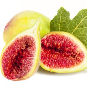 寒さに強いイチジク苗 苗木 植木 の商品一覧 花 ガーデニング 通販 Yahoo ショッピング