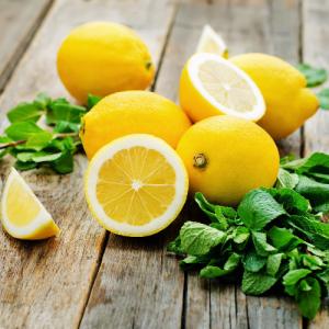 果樹苗 柑橘 レモン 苗木 レモンの木 ビアフランカ 4.5号(直径13.5cm