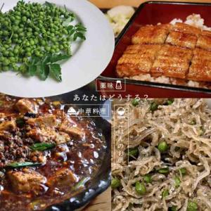 果樹苗 山椒 苗 朝倉山椒(アサクラサンショウ...の詳細画像2