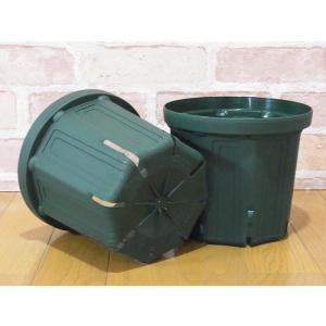 スリット鉢 6号 サイズ (CSM-180) 1...の商品画像