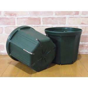 スリット鉢8号ロングサイズ (CSM-240L) 1個 : イングの森 - 通販