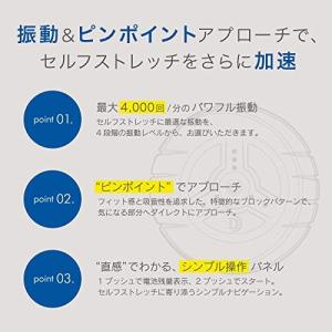 ドクターエア 3Dコンディショニングボール CB-01｜hanamaru-market