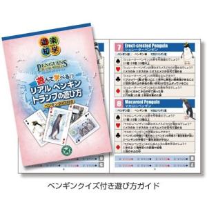 カロラータ トランプ (ペンギンクイズ付) プラスチック製 動物 知育ゲーム リアルペンギントランプ｜hanamaru-market