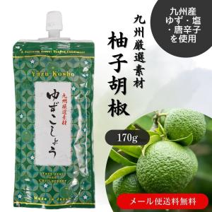 柚子胡椒 170g 九州厳選素材 ゆずこしょう 福岡 糸島 ゆずごしょう 柚子こしょう チューブ パウチ 青 辛い