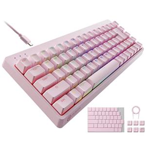 エレコム ゲーミングキーボード V-custom VK300S 有線 RGB テンキー