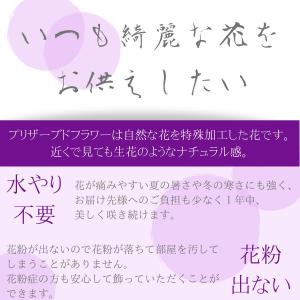 お盆 お供え 花 ブリザード 仏花 プリザーブ...の詳細画像2