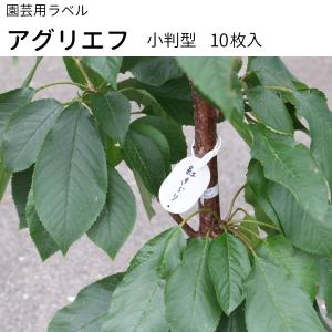 『アグリエフ』 10枚入り 園芸用ラベル 37mm×55mm 小判型