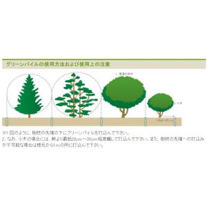 グリーンパイル 一般用 3本入り 【メール便送...の詳細画像1