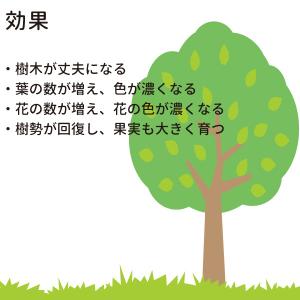 グリーンパイル 一般用 3本入り 【メール便送...の詳細画像3
