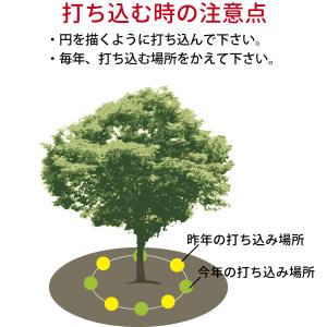 グリーンパイル 一般用 3本入り 【メール便送...の詳細画像4